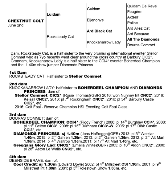 2017-03-11 23.07.27.png